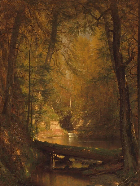 The Trout Pool, 1870. Creator: Worthington Whittredge