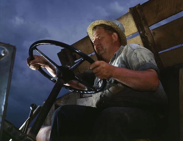 Truck driver at TVAs Douglas Dam, Tennessee, 1942. Creator: Alfred T Palmer