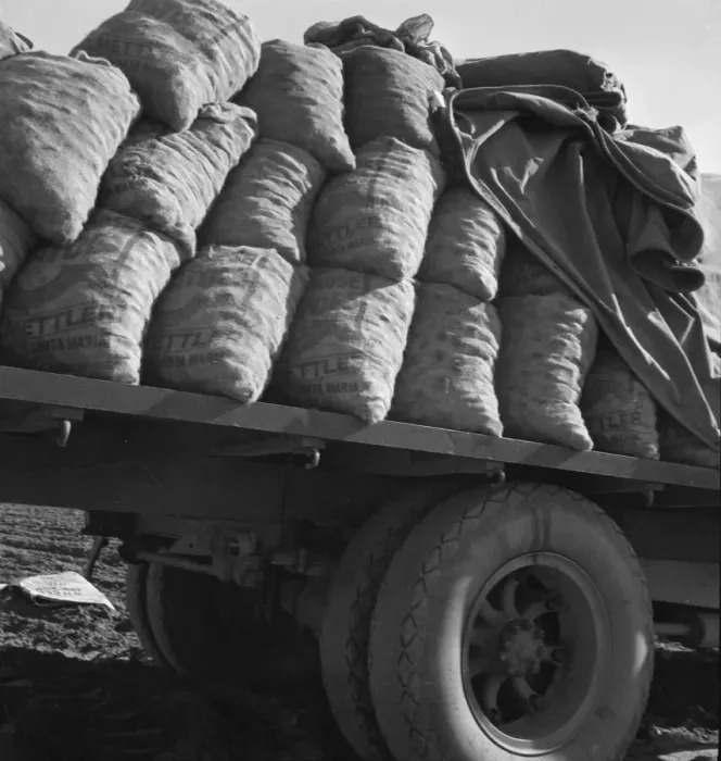 Framed Print : Truck loaded with potato seed, Kern County, California, 1939. Creator: Dorothea Lange Framed Print : Truck loaded with potato seed, Kern County, California, 1939. Creator: Dorothea Lange