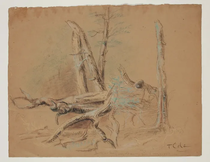 Framed Print : Trunks of Trees and Foliage, between 1820 and 1848. Creator: Thomas Cole Framed Print : Trunks of Trees and Foliage, between 1820 and 1848. Creator: Thomas Cole