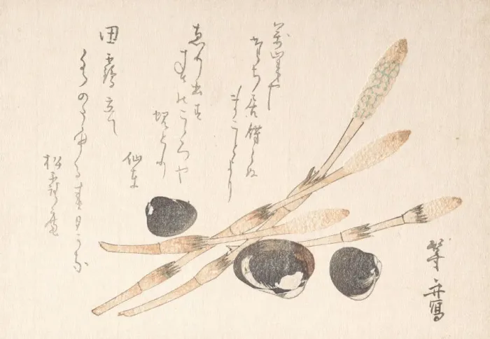 Framed Print : Tsukushi Plant and Shijimi Shells. Creator: Uematsu Toshu Framed Print : Tsukushi Plant and Shijimi Shells. Creator: Uematsu Toshu