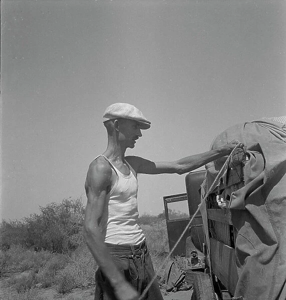 Tubercular father of a family of nine who are stranded in New Mexico with no money, 1936. Creator: Dorothea Lange