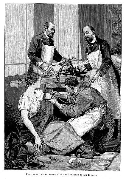 A tuberculosis patient being given a transfusion of goats blood, 1891