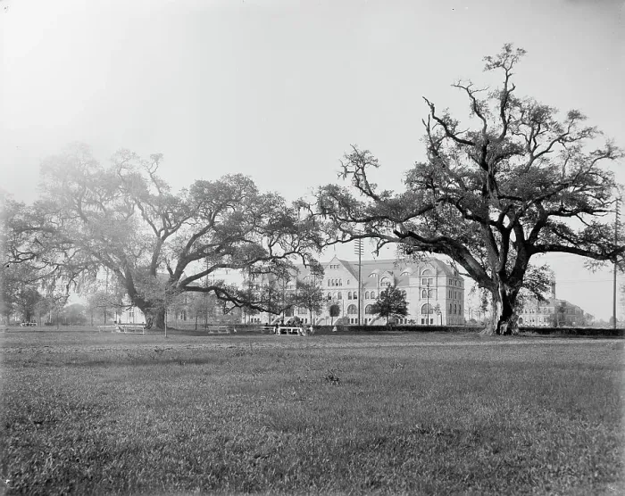Framed Print : Tulane University, New Orleans, Louisiana, between 1900 and 1910. Creator: Unknown Framed Print : Tulane University, New Orleans, Louisiana, between 1900 and 1910. Creator: Unknown