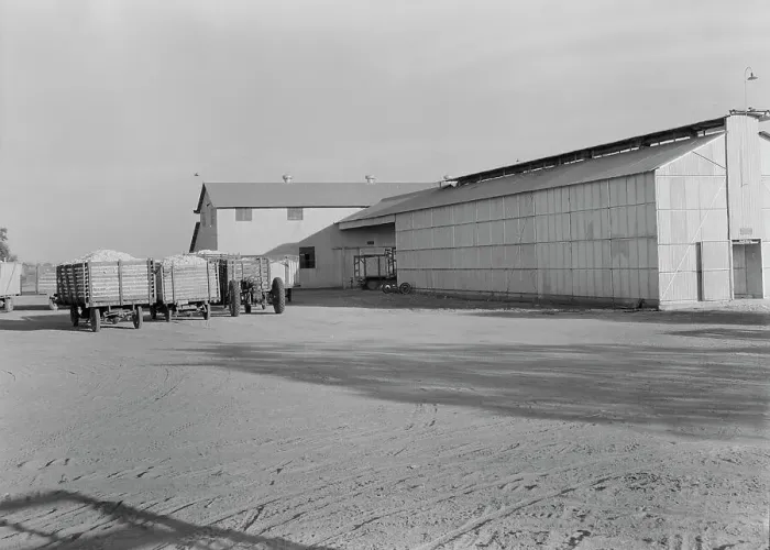 Framed Print : Tulare cooperative cotton gin, Tulare County, California, 1938. Creator: Dorothea Lange Framed Print : Tulare cooperative cotton gin, Tulare County, California, 1938. Creator: Dorothea Lange