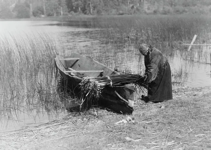 Framed Print : The tule gatherer, c1910. Creator: Edward Sheriff Curtis Framed Print : The tule gatherer, c1910. Creator: Edward Sheriff Curtis