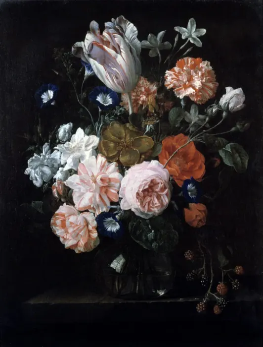 Framed Print : A Tulip, Carnations, and Morning Glory in a Glass Vase, 17th century. Artist: Nicolaes van Veerendael Framed Print : A Tulip, Carnations, and Morning Glory in a Glass Vase, 17th century. Artist: Nicolaes van Veerendael