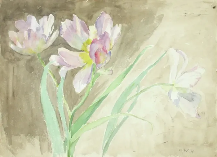 Framed Print : Tulips. Creator: Maria Wiik Framed Print : Tulips. Creator: Maria Wiik