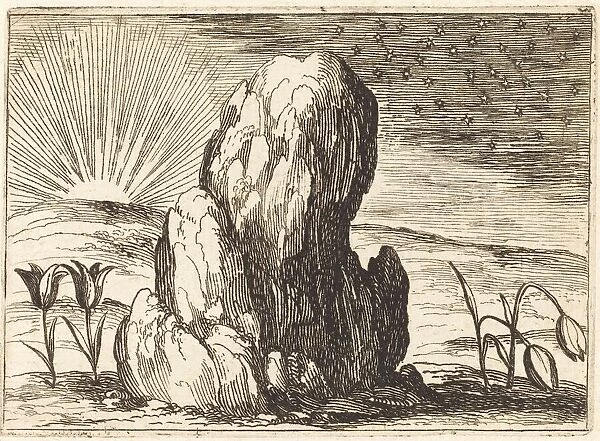 The Tulips and the Sun, 1628. Creator: Jacques Callot