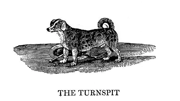 The Tunspit, 1790