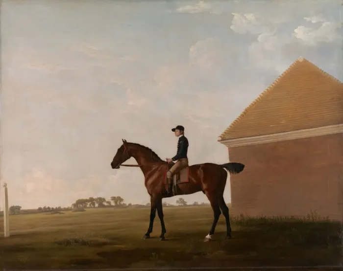 Framed Print : Turf, with Jockey up, at Newmarket, ca. 1766. Creator: George Stubbs Framed Print : Turf, with Jockey up, at Newmarket, ca. 1766. Creator: George Stubbs