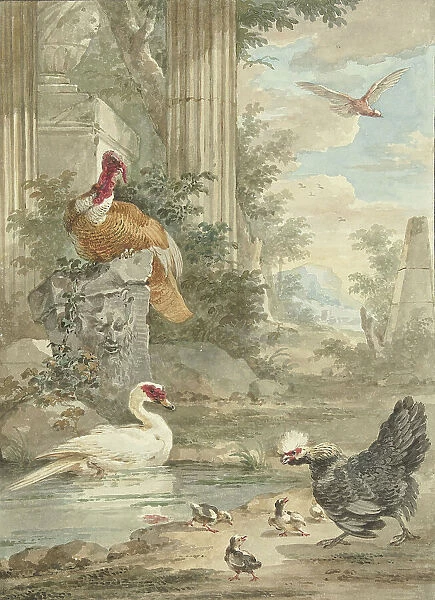 Turkey and Other Birds near Classical Ruins in a Park, c.1756-c.1761. Creator: Aert Schouman