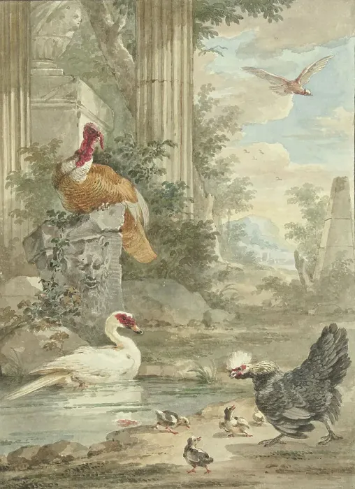 Framed Print : Turkey and Other Birds near Classical Ruins in a Park, c.1756-c.1761. Creator: Aert Schouman Framed Print : Turkey and Other Birds near Classical Ruins in a Park, c.1756-c.1761. Creator: Aert Schouman