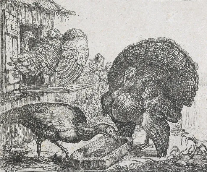 Framed Print : Four turkeys, 1615-1653. Creator: Simon de Vlieger Framed Print : Four turkeys, 1615-1653. Creator: Simon de Vlieger