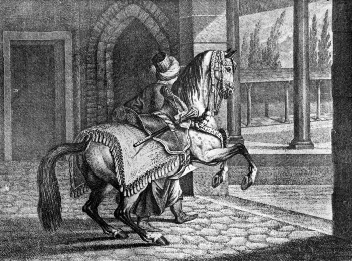 Framed Print : Turkish Sultans Arabian saddle horse, 1722, (1938) Framed Print : Turkish Sultans Arabian saddle horse, 1722, (1938)