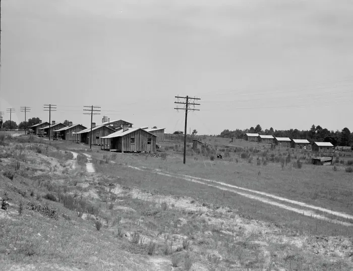 Framed Print : Turpentine camp, Godwinsville, Georgia, 1937. Creator: Dorothea Lange Framed Print : Turpentine camp, Godwinsville, Georgia, 1937. Creator: Dorothea Lange