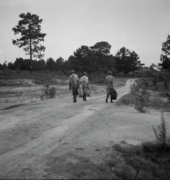 Framed Print : Three turpentine dippers, Georgia, 1937. Creator: Dorothea Lange. Three turpentine dippers, Georgia, 1937. Creator: Dorothea Lange Framed Print : Three turpentine dippers, Georgia, 1937. Creator: Dorothea Lange. Three turpentine dippers, Georgia, 1937. Creator: Dorothea Lange