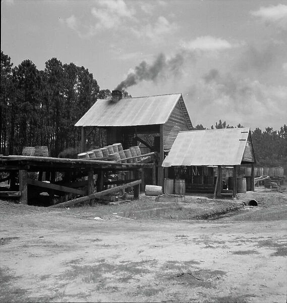Turpentine still in the Piney Woods near Valdosta, Georgia, 1937. Creator: Dorothea Lange