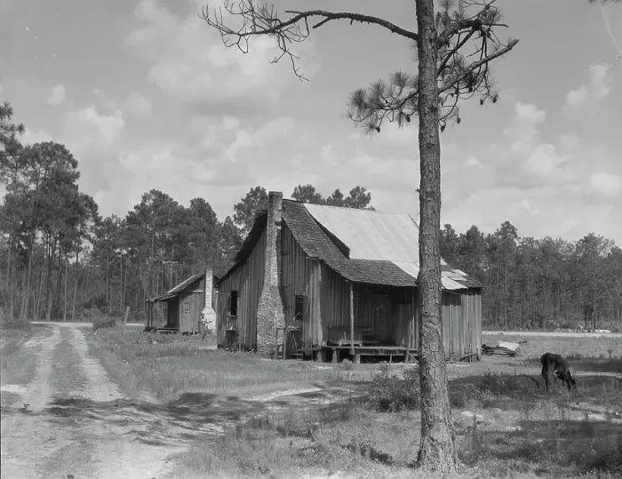Framed Print : Turpentine worker's cabins, Valdosta, Georgia, 1937. Creator: Dorothea Lange Framed Print : Turpentine worker's cabins, Valdosta, Georgia, 1937. Creator: Dorothea Lange