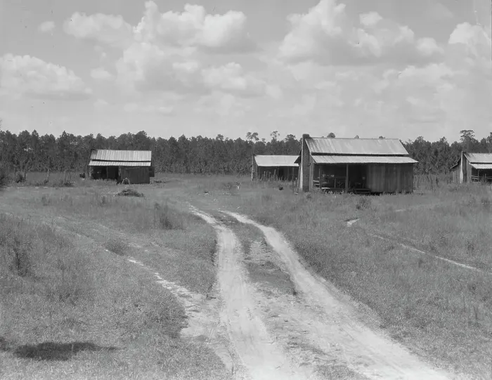 Framed Print : Turpentine worker's cabins, Valdosta, Georgia, 1937. Creator: Dorothea Lange Framed Print : Turpentine worker's cabins, Valdosta, Georgia, 1937. Creator: Dorothea Lange