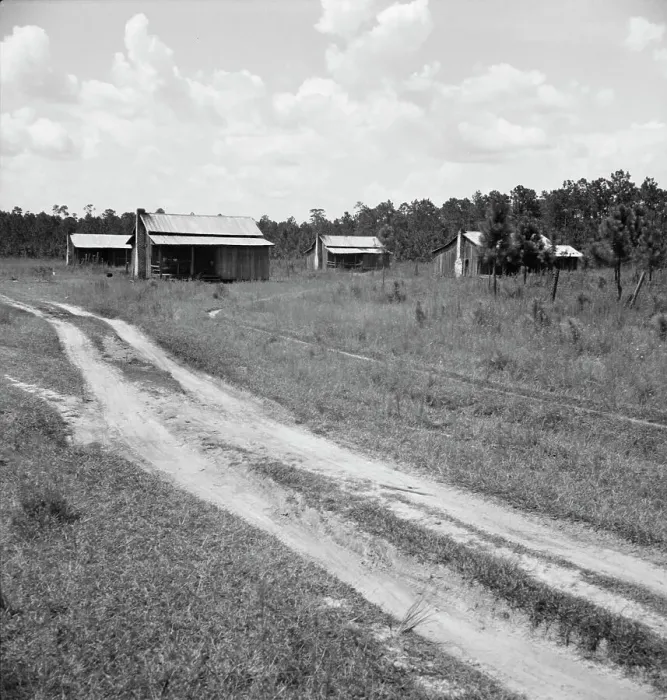 Framed Print : Turpentine worker's cabins, Valdosta, Georgia, 1937. Creator: Dorothea Lange Framed Print : Turpentine worker's cabins, Valdosta, Georgia, 1937. Creator: Dorothea Lange
