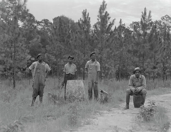 Turpentine workers, Georgia, 1937. Creator: Dorothea Lange