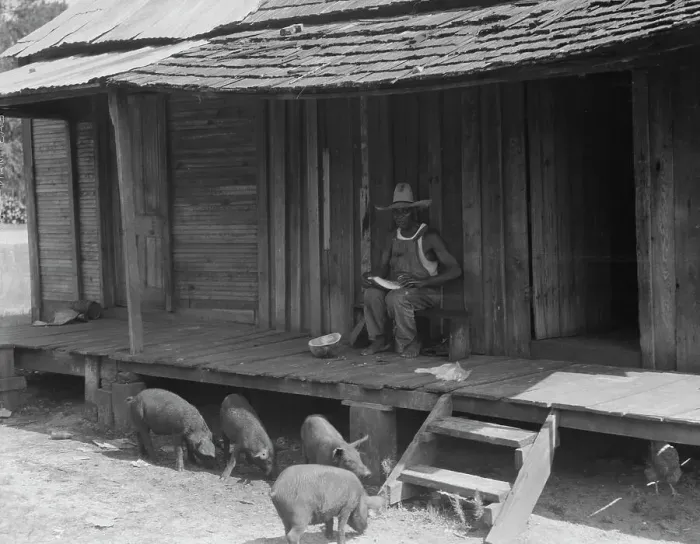 Framed Print : Turpentine worker's home, Georgia, 1937. Creator: Dorothea Lange