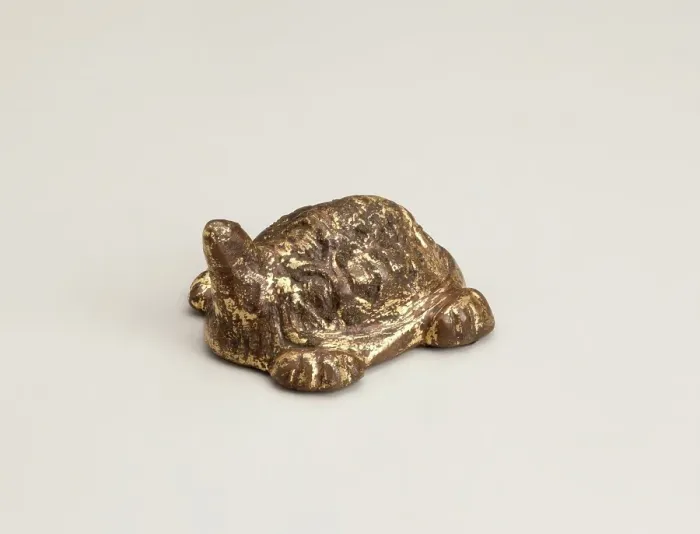 Framed Print : Turtle, 618-906. Creator: Unknown Framed Print : Turtle, 618-906. Creator: Unknown