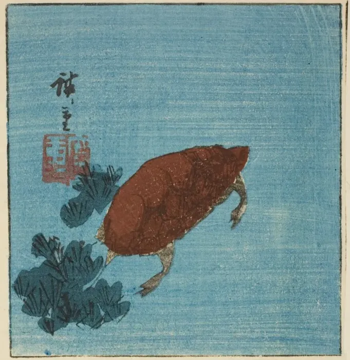 Framed Print : Turtle, c. 1840s. Creator: Ando Hiroshige Framed Print : Turtle, c. 1840s. Creator: Ando Hiroshige