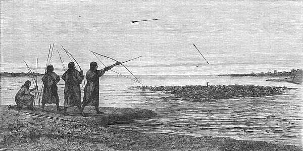 'Turtle Shooting; The Fresh-water Turtle of the Amazons, 1875. Creator: Unknown