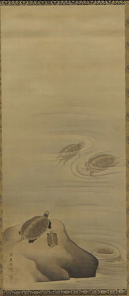 Turtles, Edo period, 18th century. Creator: Maruyama Okyo