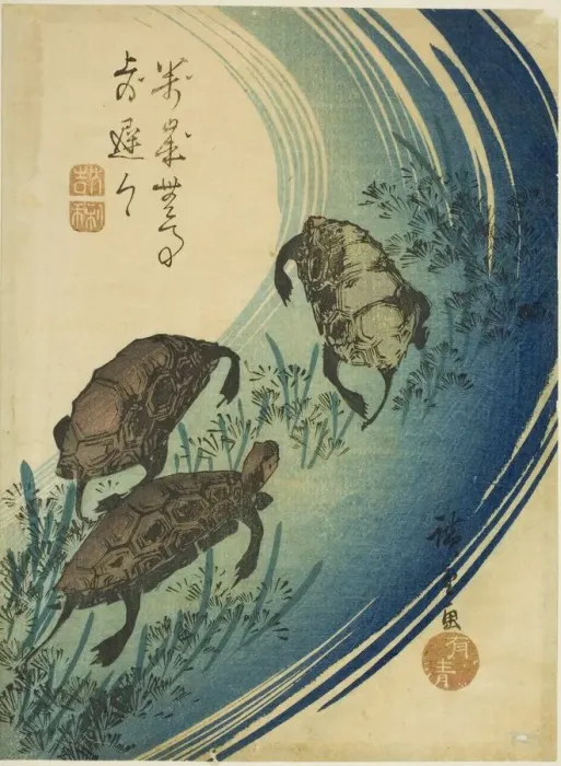 Framed Print : Turtles swimming in a stream, c. 1840. Creator: Ando Hiroshige Framed Print : Turtles swimming in a stream, c. 1840. Creator: Ando Hiroshige
