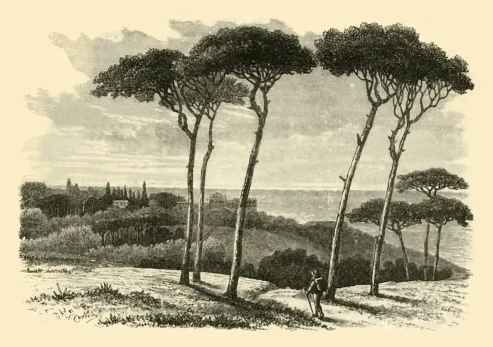 Framed Print : Tusculum, 1890. Creator: Unknown Framed Print : Tusculum, 1890. Creator: Unknown