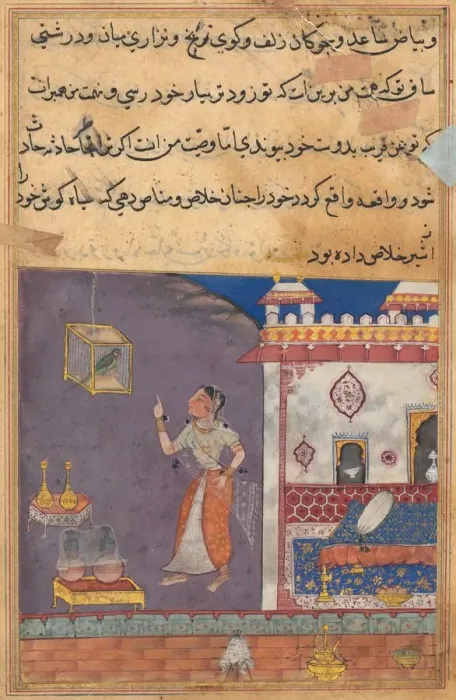 Framed Print : Tuti-Nama (Tales of a Parrot): Tale XXIX, Lion ousted from his den by a Lynx (small #XIV), c