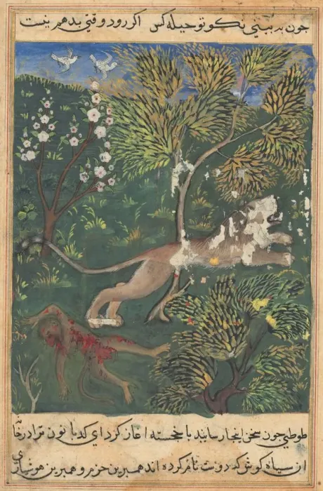 Framed Print : Tuti-Nama (Tales of a Parrot): Tale XXIX, c. 1560. Creator: Unknown Framed Print : Tuti-Nama (Tales of a Parrot): Tale XXIX, c. 1560. Creator: Unknown