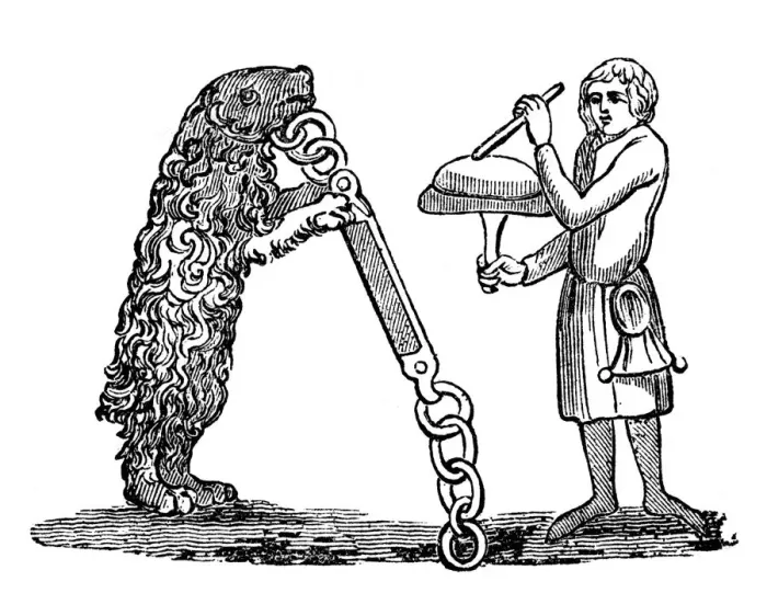 Framed Print : Tutored Bear, 14th century, (1833) Framed Print : Tutored Bear, 14th century, (1833)