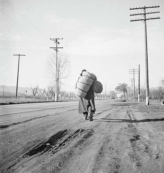 More than twenty-five years a bindle-stiff... Napa Valley, California, 1938. Creator: Dorothea Lange