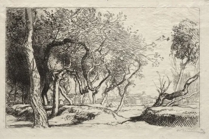 Framed Print : The Twisted Tree, 1915. Creator: Auguste Louis Lepere (French, 1849-1918) Framed Print : The Twisted Tree, 1915. Creator: Auguste Louis Lepere (French, 1849-1918)