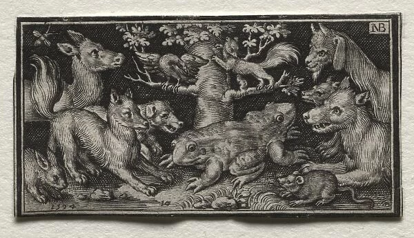 Two-headed Frog surrounded by Animals, 1594. Creator: Nicolaes de Bruyn (Netherlandish
