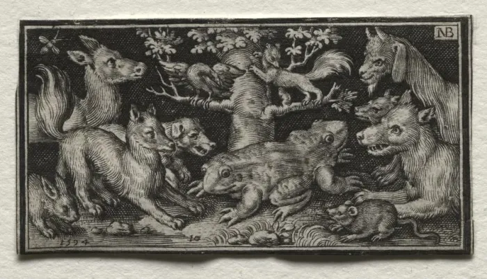 Framed Print : Two-headed Frog surrounded by Animals, 1594. Creator: Nicolaes de Bruyn (Netherlandish Framed Print : Two-headed Frog surrounded by Animals, 1594. Creator: Nicolaes de Bruyn (Netherlandish