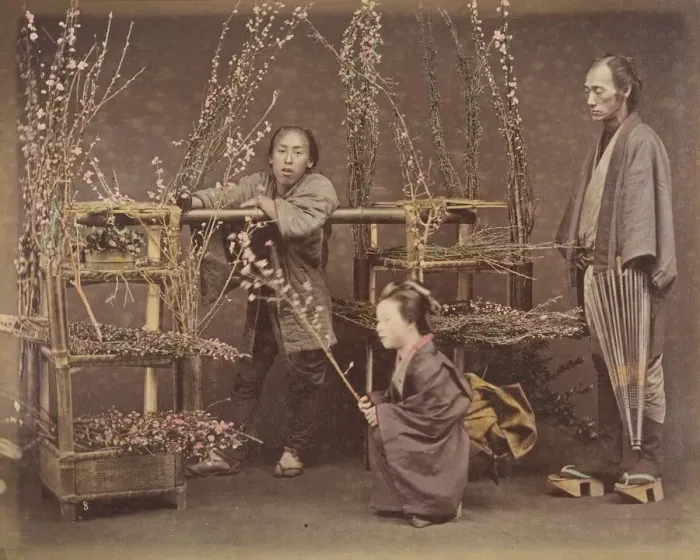 Framed Print : [Two Japanese Men and One Japanese Woman Posing with Flowering Branches], 1870s
