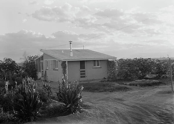 Type house at 'Garden Homes', Kern County, California, 1938. Creator: Dorothea Lange. Type house at 'Garden Homes', Kern County, California, 1938. Creator: Dorothea Lange