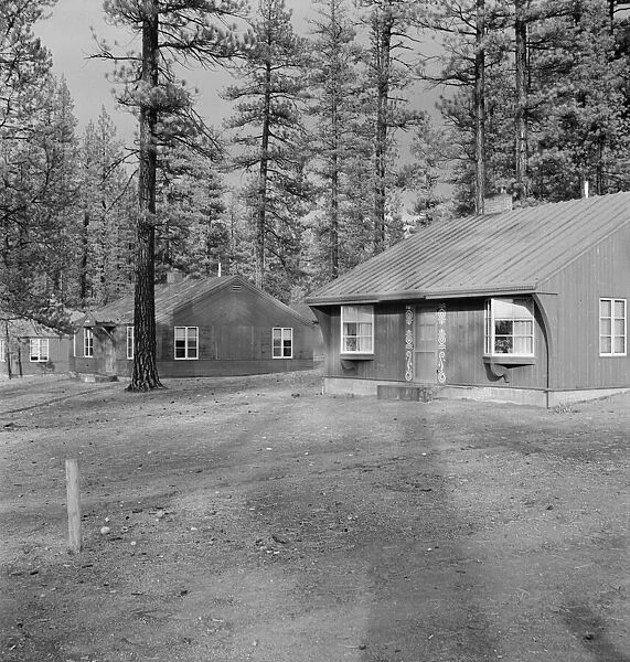 Type house in model lumber company town for millworkers, Gilchrist, Oregon, 1939. Creator: Dorothea Lange