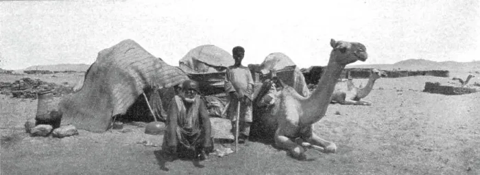 Framed Print : Types de Bicharins; Le Nord-Est Africain, 1914. Creator: Unknown Framed Print : Types de Bicharins; Le Nord-Est Africain, 1914. Creator: Unknown