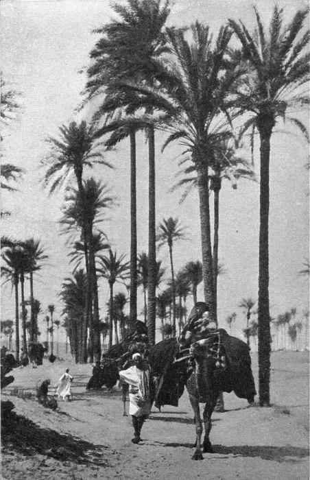 Framed Print : Types d'Arabes de la Tripolitaine; Le Nord-Est Africain, 1914. Creator: Unknown Framed Print : Types d'Arabes de la Tripolitaine; Le Nord-Est Africain, 1914. Creator: Unknown