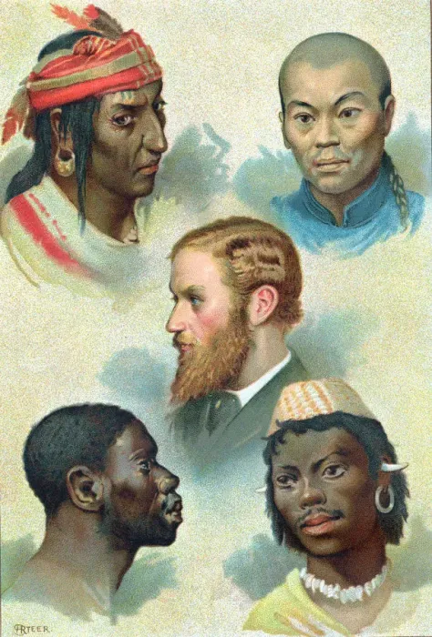 Framed Print : Five types of the human race, late 19th century Framed Print : Five types of the human race, late 19th century