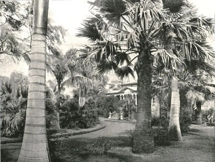Framed Print : Typical Hawaiian yard, Honolulu, USA, 1895. Creator: Unknown Framed Print : Typical Hawaiian yard, Honolulu, USA, 1895. Creator: Unknown