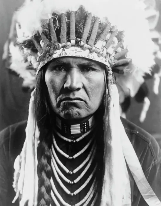 Framed Print : A typical Nez Percé, c1910. Creator: Edward Sheriff Curtis Framed Print : A typical Nez Percé, c1910. Creator: Edward Sheriff Curtis