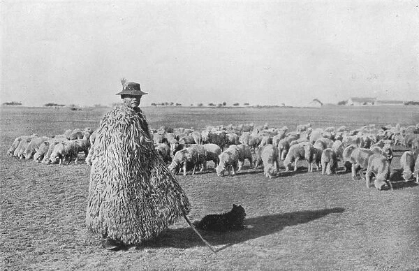 A typical shepherd and his flock on the plains of Hungary, 1915