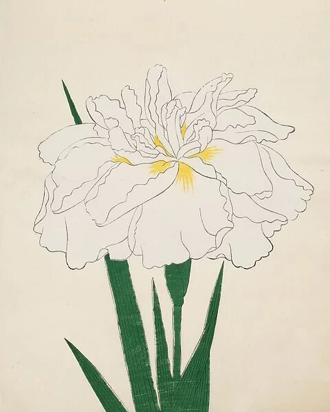 Ujaku-No-Nagisa, No. 61, 1890, (colour woodblock print)